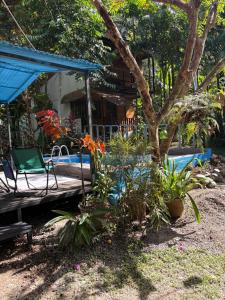 Papaya Wildlife Lodge