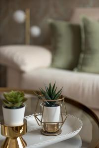 Boutique Dreams Apartments - Near Center - M4