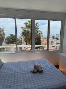 La ventana de Puerto Marina