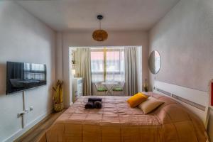 Modern Studio 2-Min 50 meters Walk to Playa Los Locos