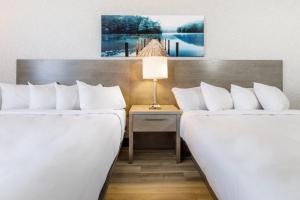 Repotel Levis