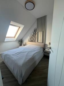 Apartman Zrenjanin