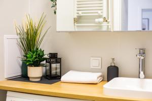 Apartament Zwycięstwa 20 - Winogrady