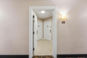 Comfortable 1-Bedroom apt in Prime Orlando Spot