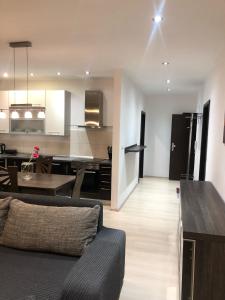 APARTMENT TOPOLOVA with FREE PRIVATE PARKING