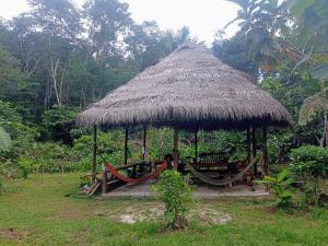 Panguana Lodgeinclusive