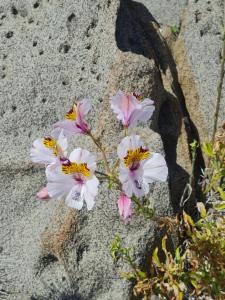 Casa exquisita gran vista al mar
