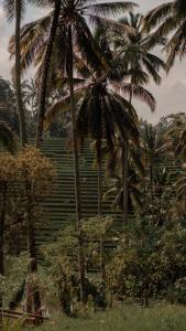 OFFTRACK Training Camp in the Jungle