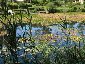 Appartement vue lac - 4 pers. - FR-1-845-20