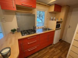 Mobil home avec terrasse - 4 pers. - API-1-52-2027