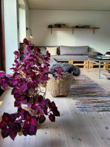 70S House With Design, Soul, And Rustic Details