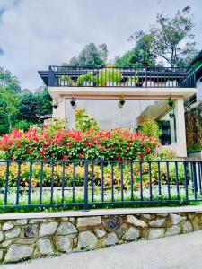 Clover Cottage