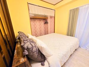 202 Ueno sunny house max4people