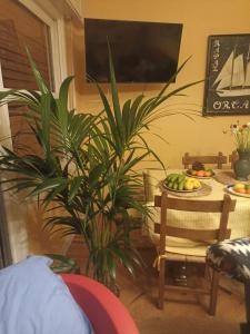 apartamento céntrico zona Marques de comillas 8