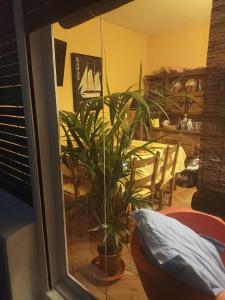 apartamento céntrico zona Marques de comillas 8
