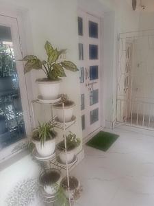 Beautiful Studio in Kolkata