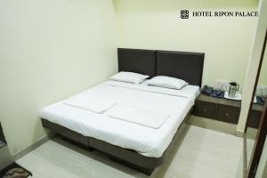Hotel Ripon Palace