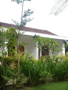 Palmhouse Boutique Hotel