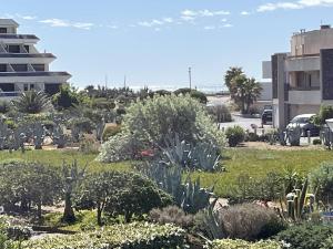 Studio CAP DAGDE NATURISME CN060-J13