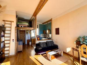 Charming apartment Croix Rousse with a view