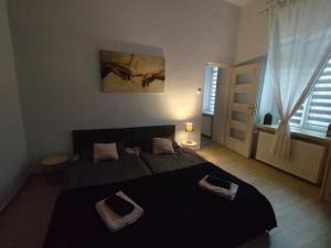 City Center Apartment - bezpłatny parking