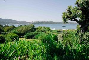 Appartamenti sul mare img4