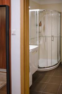 Villa KESTA, centrum, free parking