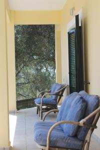 Olive House