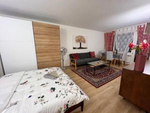 Modern 1 Room Lavish Studio Oerlikon Zurich