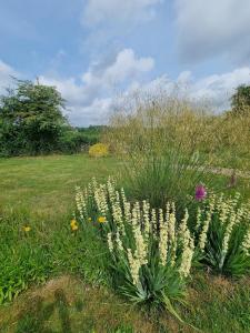 Parfums des peintres proche Crozant