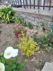 beb san Nicola img12