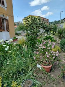 beb san Nicola img13