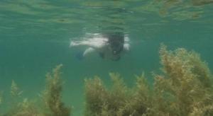 Golden Pearl Beach Resort