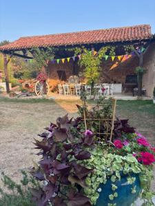 La Surprise Gites - The Barn