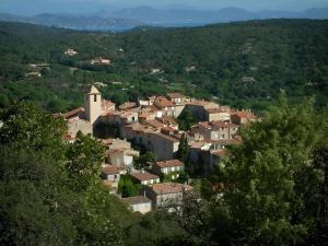 Authenticité Sérénité au Cœur des Vignes maison T3 à Ramatuelle