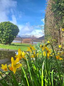 Hillview Hideaway with private garden