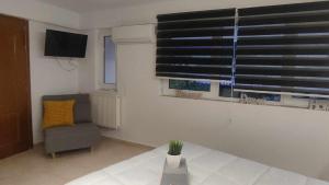 Flumen Studio-Trikala, Central Apt