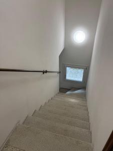 Oferta noclegów 15968944