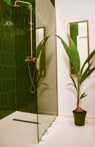 Apartamente Buildings