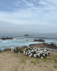 Lagunamar Jardín Privado Frente a Laguna 8 personas