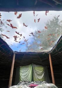 Selfmade Yurt - NaturViana