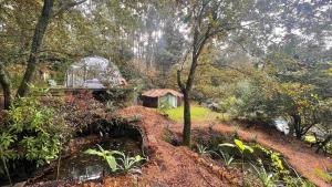 Selfmade Yurt - NaturViana