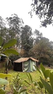 Selfmade Yurt - NaturViana