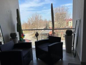 One Bedroom APARTMENT BALATONLELLE 316