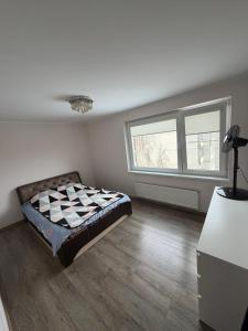 Oferta noclegów 15969964