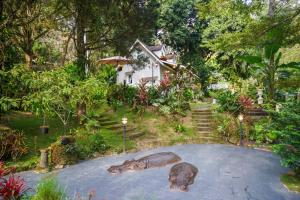 ปางสูงเฮาส์ pink house