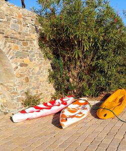 Beachfront Majestic Villa