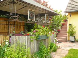Les Euphorbes, gîte entre vignes et montagnes