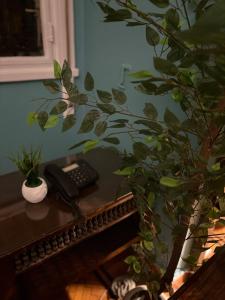 Nile-view 3-BDR Arabesque apartment