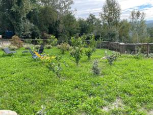 Borgo Antico, Pool, Barberino del Mugello